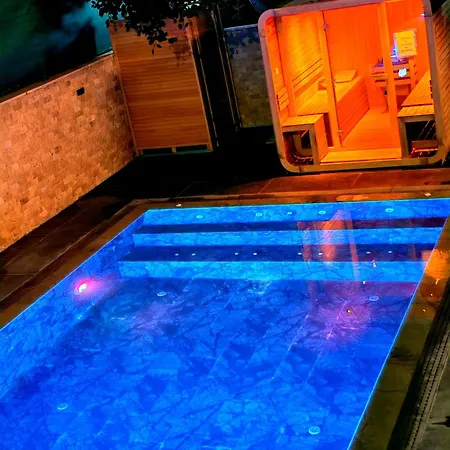 Royal Palace Private Pool Halal Villa