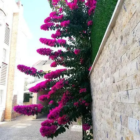 Βίλα Royal Palace Private Pool Halal Μπέλεκ